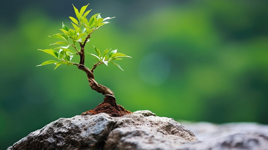 「企業レジリエンス」とは? 経営における意味と課題発見の方法【診断チェックリスト付き】