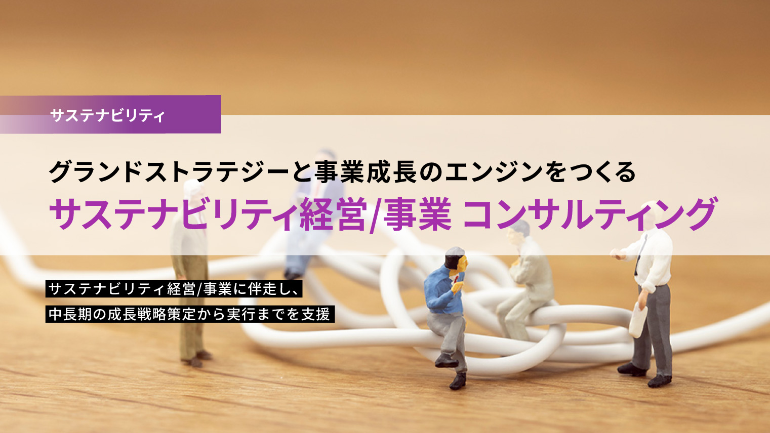 グランドストラテジーと事業成長のエンジンをつくる「サステナビリティ経営/事業 コンサルティング」