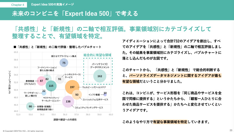 expert-idea-500-p3